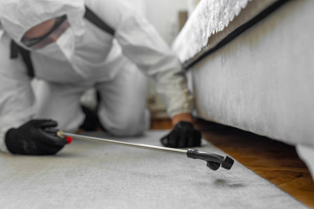 Professional Pest Control technician working in Providence County County, RI